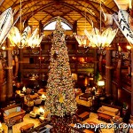 Walt Disney Worlds Animal Kingdom Lodge Decorated for Christmas 2012